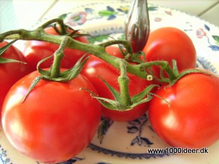 Tomat-æblemarmelade - overflod af tomater