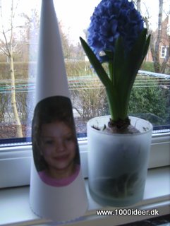 Hyacinthtte med portrt