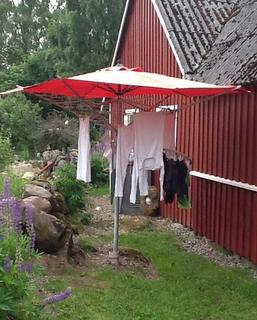 Trt tj med udbrndt parasol